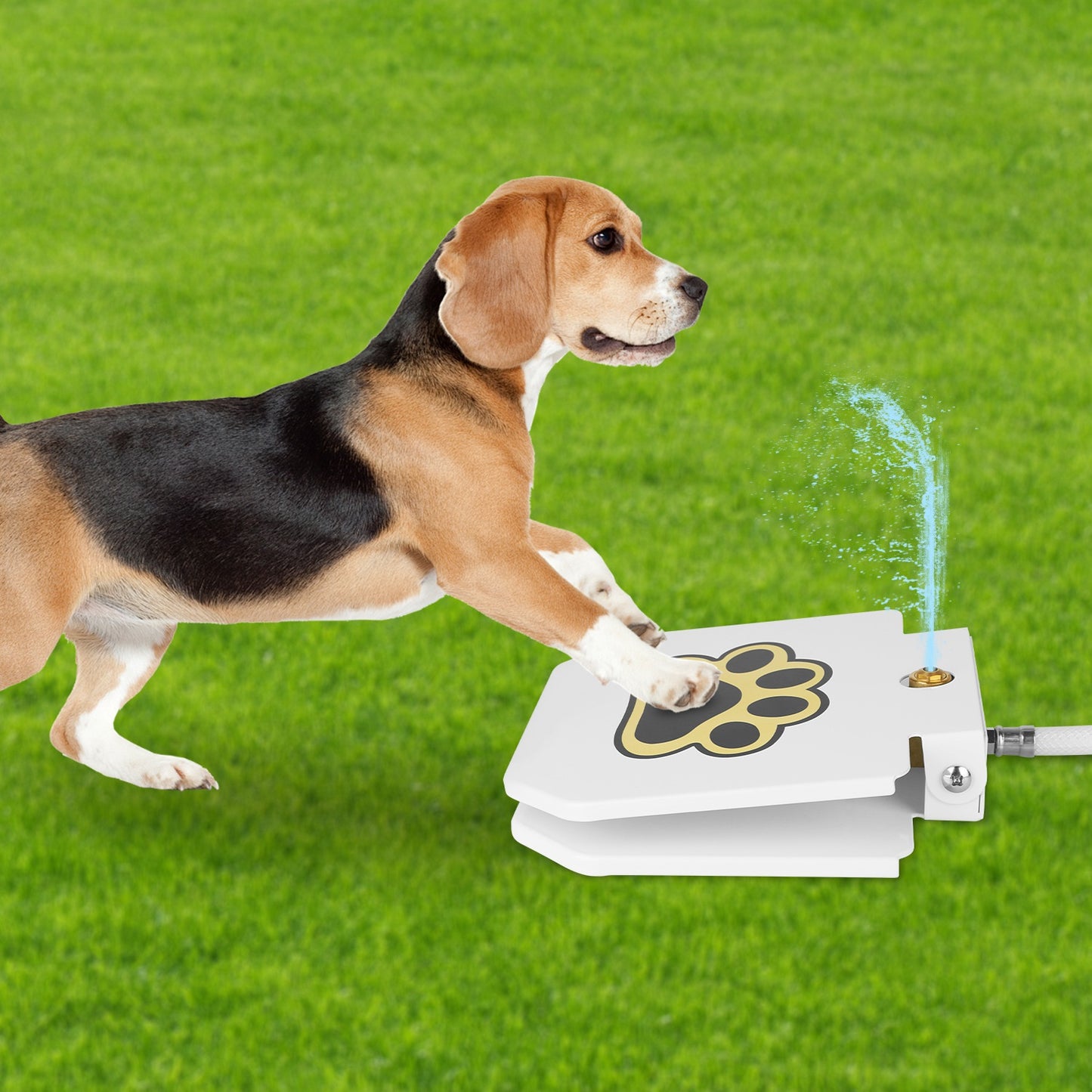 Step-On Dog Water Fountain - Heavy-Duty Iron Outdoor Hydration Toy | Paw Pedal for Large Dogs