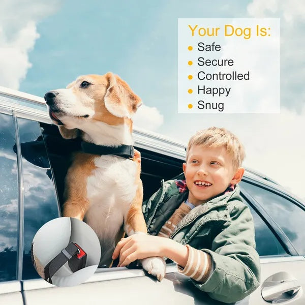 Dog car safety belt doubles as walking leash - GianfiStore pet travel accessories