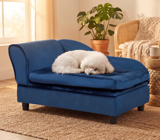 White fluffy dog sleeping on blue velvet pet sofa in boho living room with monstera plant – GianfiStore