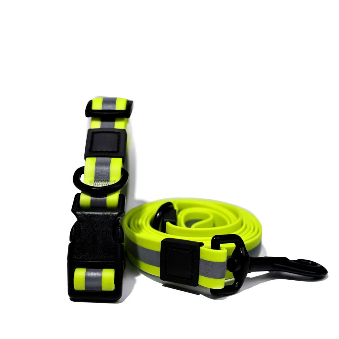 Reflective dog leash lifestyle photo – evening walk with high-visibility leash set
