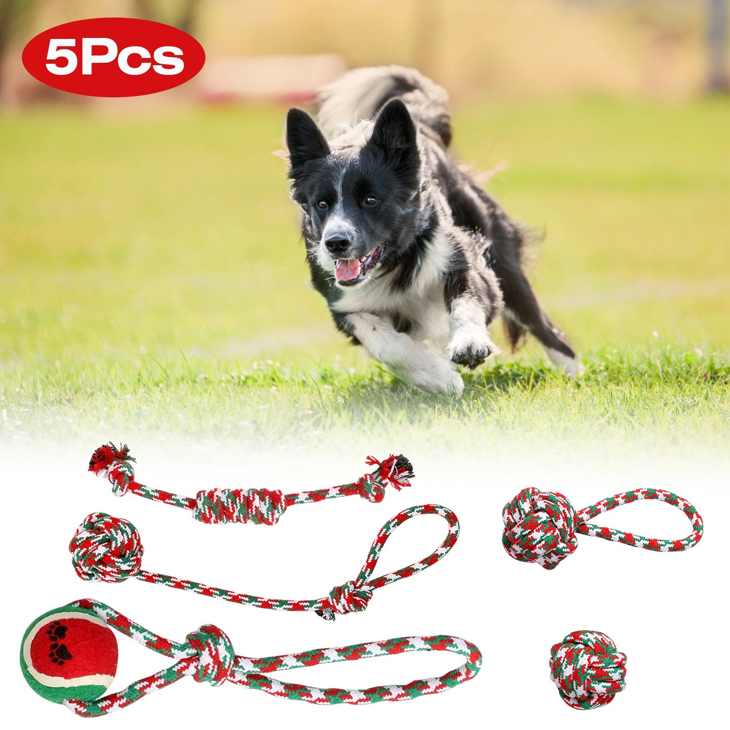 5-Piece Braided Cotton Rope Toy Set — Dental Chews & Tug-of-War Bundle for Dogs