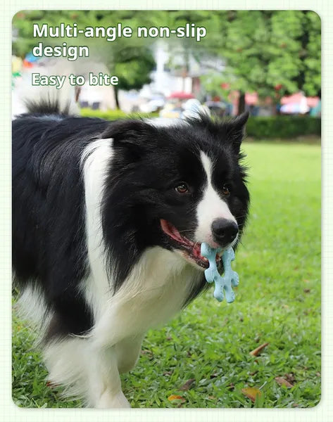 Interactive Dog Flywheel Toy - High-Visibility Floating Frisbee | Gentle on Teeth & Gums