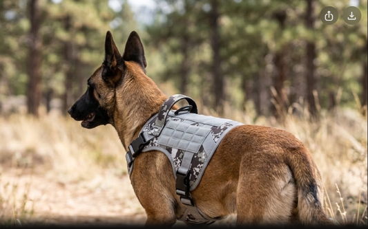 Tactical Dog Harness Vest – Adjustable & Reflective | S, M, L, XL