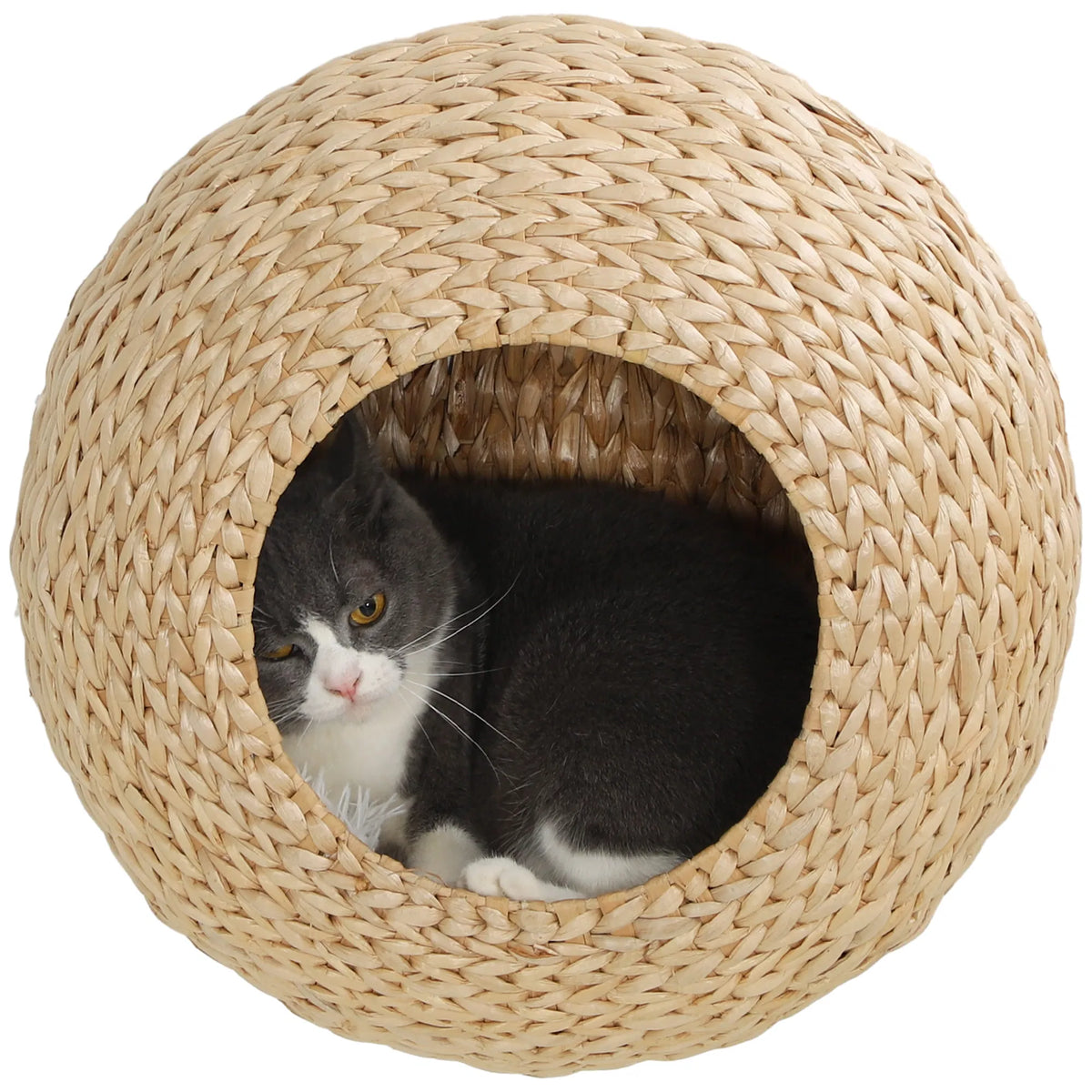 Beige wall-mounted woven cat cave with round entrance, removable cream cushion, and small cat resting inside