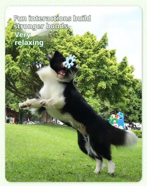 Interactive Dog Flywheel Toy — High-Visibility Floating Frisbee | Gentle on Teeth & Gums