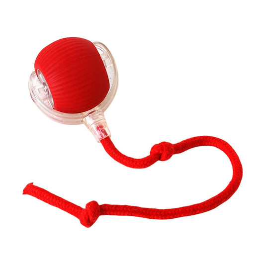 Interactive Rolling Cat Ball Toy | Motion-Activated Self-Rotating Ball with LED Lights for Cats