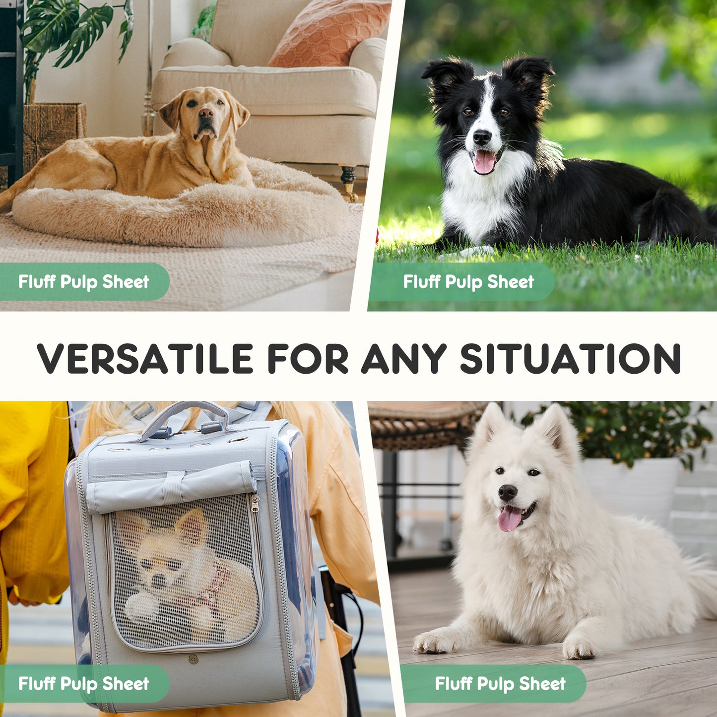 Ultra-Absorbent Puppy Training Pads — 50-Pack Leak-Proof Quick-Dry Disposable Pads (24"x18")