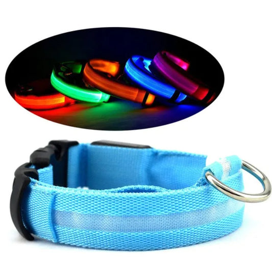 LED Pet Safety Halo Collar - USB Rechargeable High-Visibility Light-Up Loop