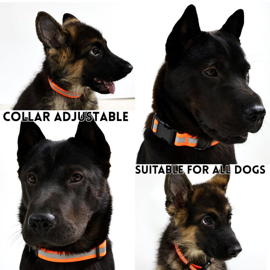 GianfiStore Reflective Dog Leash & Collar Set – blue PVC waterproof night safety design