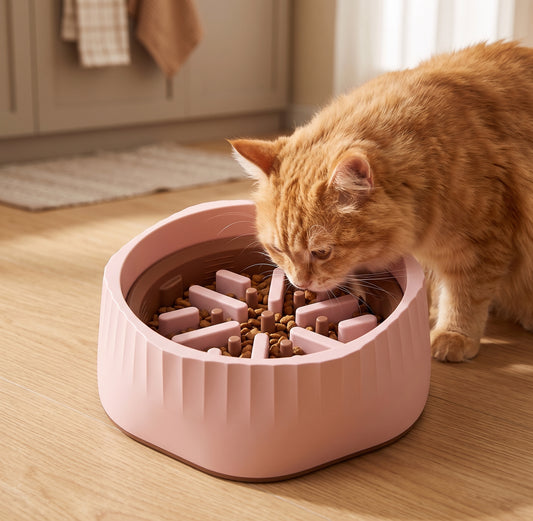 Orange tabby cat eating from GianfiStore pink 2-in-1 slow feeder bowl on kitchen floor