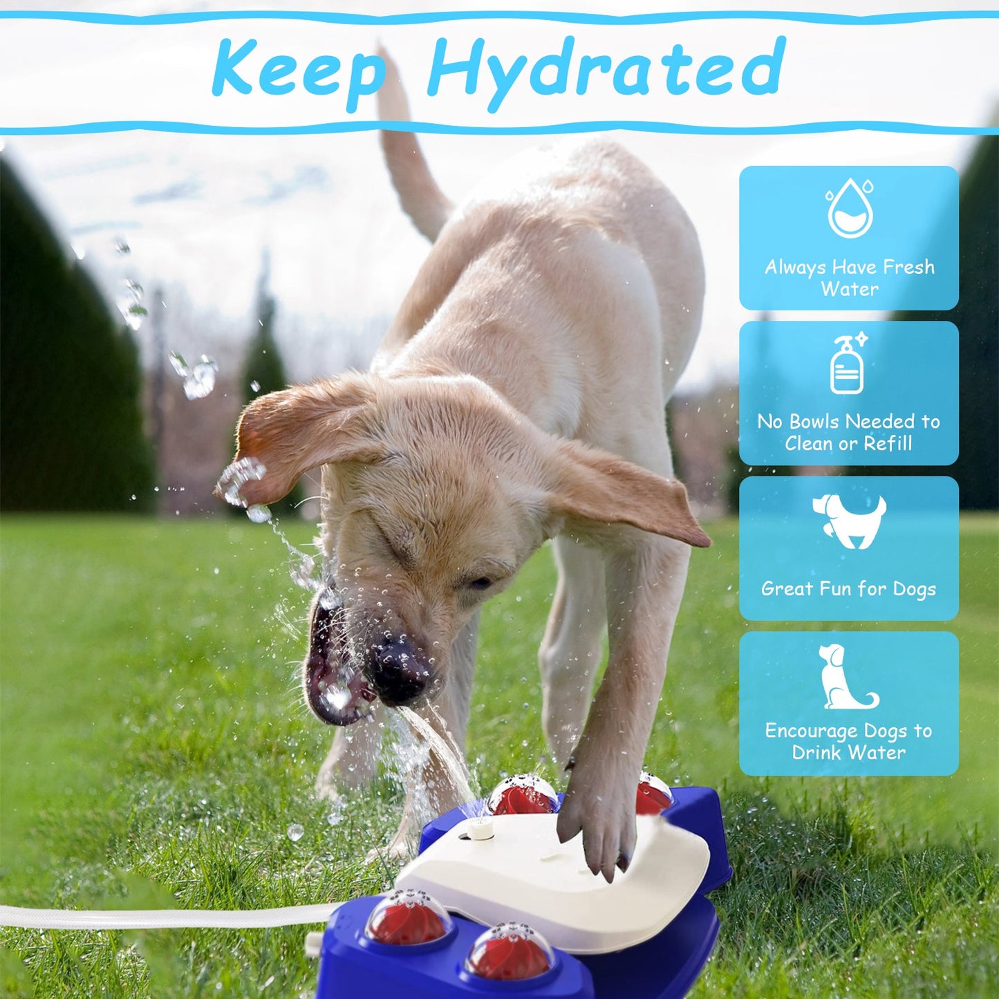 Step-On Dog Water Fountain — Interactive Outdoor Sprinkler & Drinking Station for Dogs