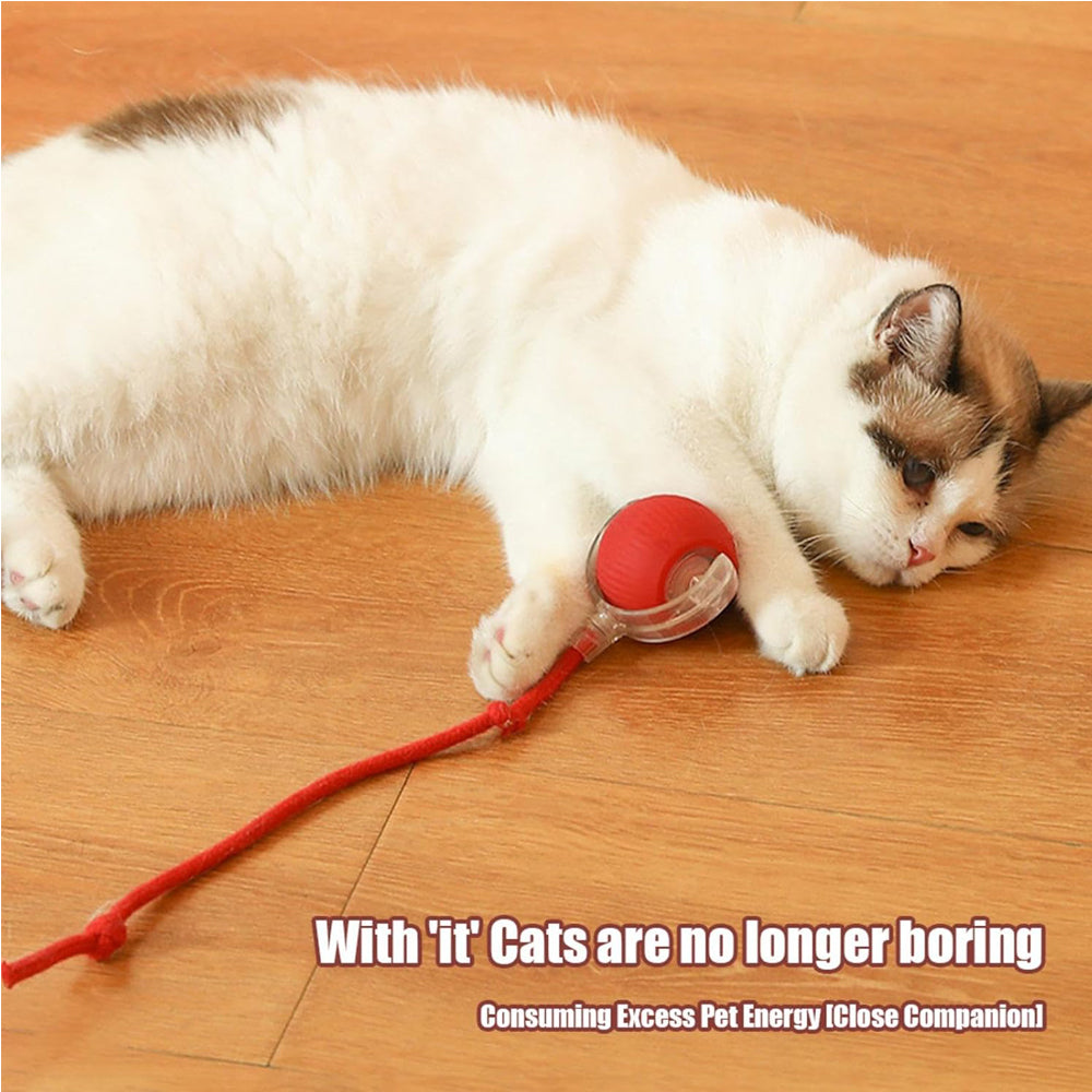Interactive Rolling Cat Ball Toy | Motion-Activated Self-Rotating Ball with LED Lights for Cats