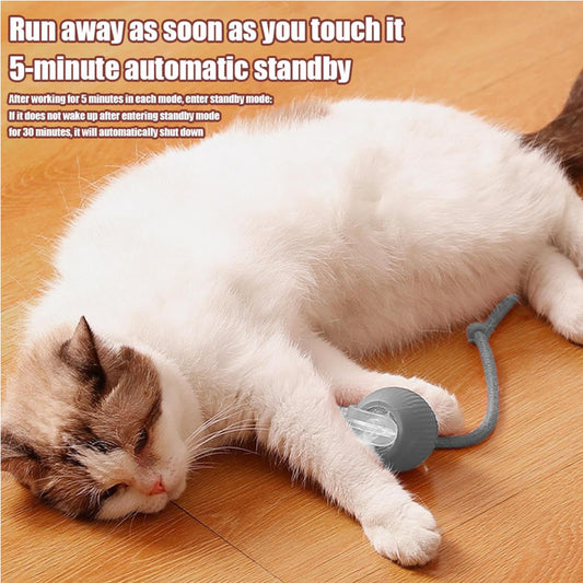 Interactive Rolling Cat Ball Toy | Motion-Activated Self-Rotating Ball with LED Lights for Cats