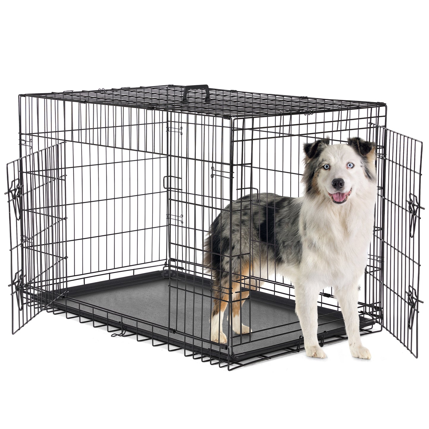 Double-Door Metal Dog Crate with Divider - Foldable & Portable Pet Kennel | Grows with Your Pup