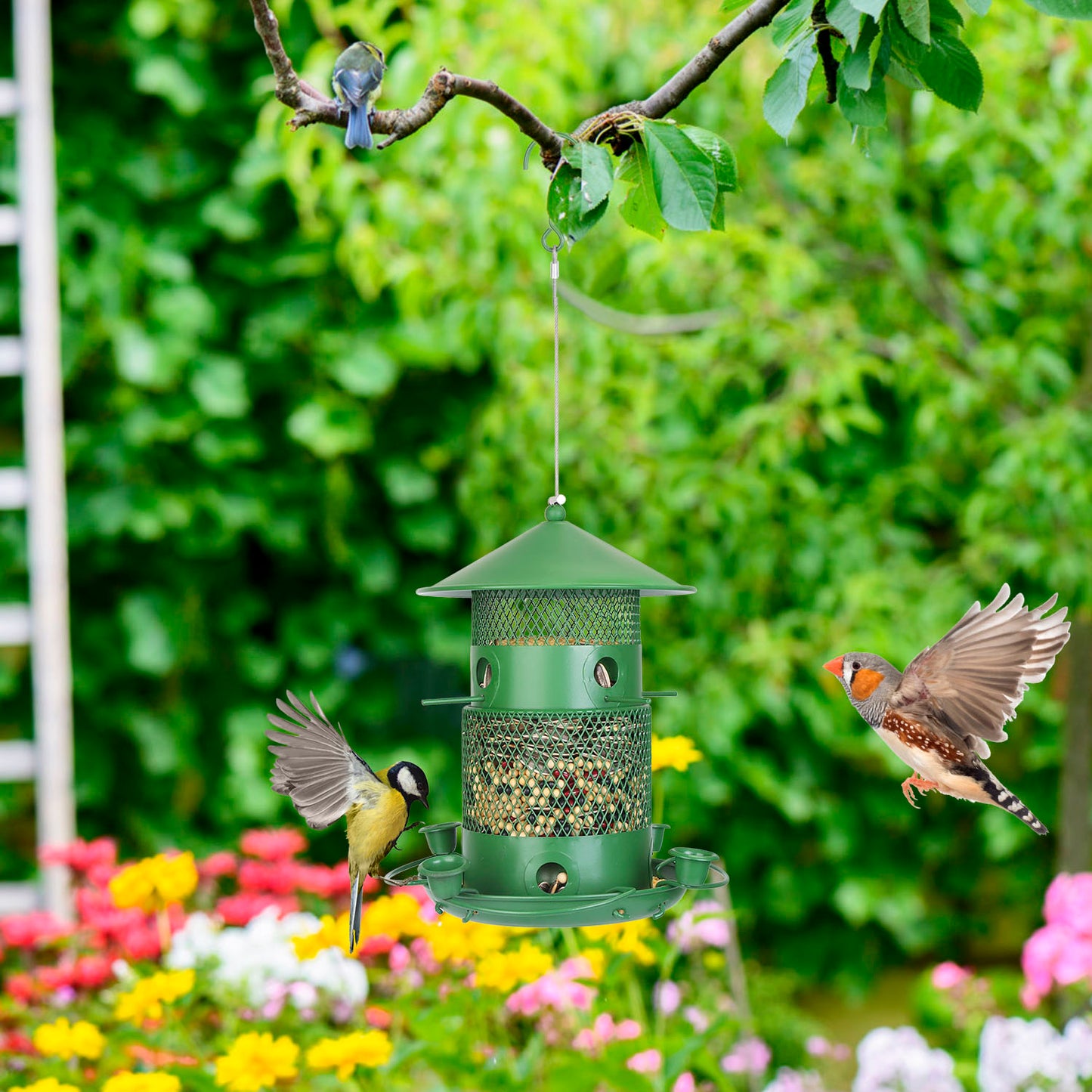 3-Tier Deluxe Wild Bird Station — Squirrel-Proof Rustproof Metal | 6 Perches & 4 Water Cups