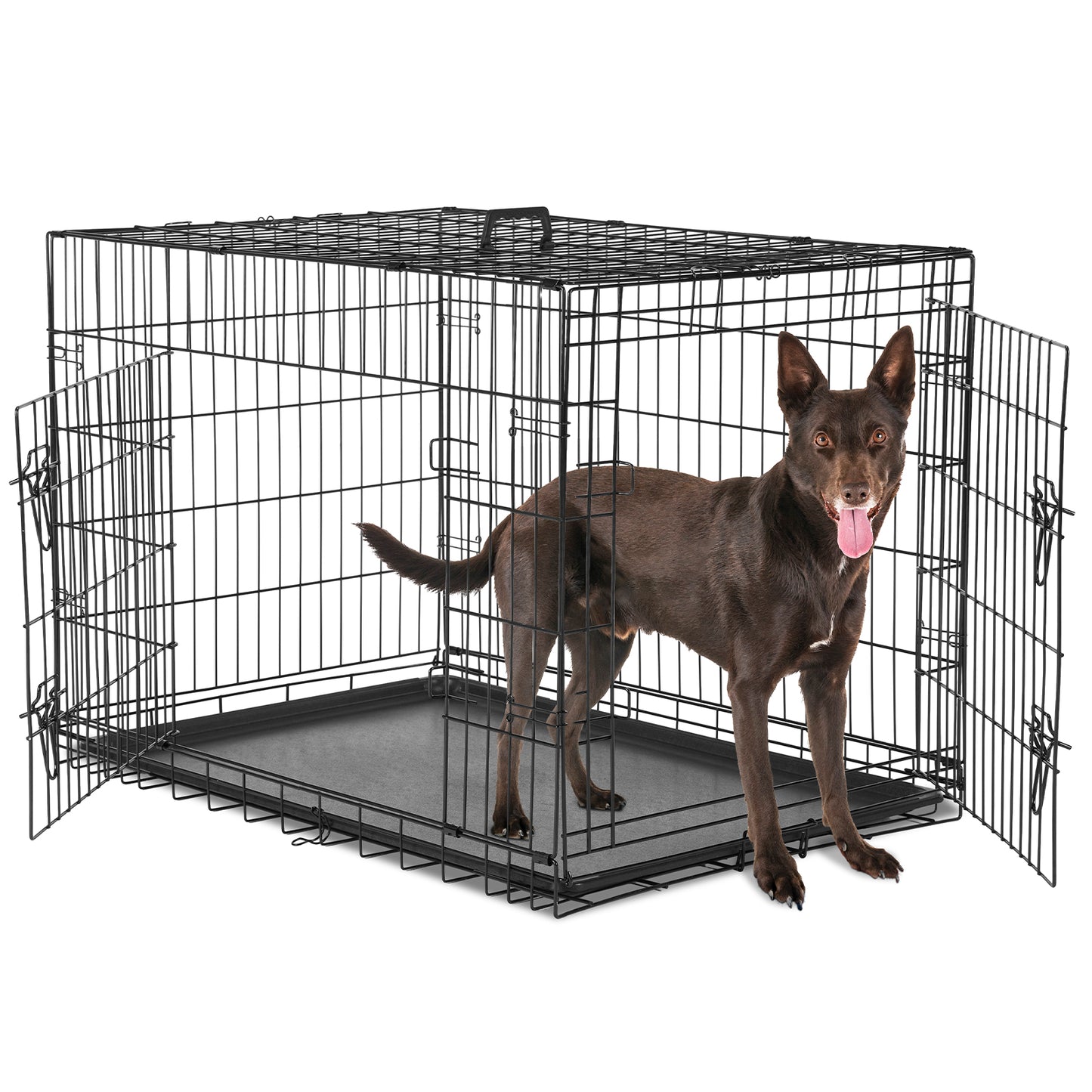Double-Door Metal Dog Crate with Divider - Foldable & Portable Pet Kennel | Grows with Your Pup