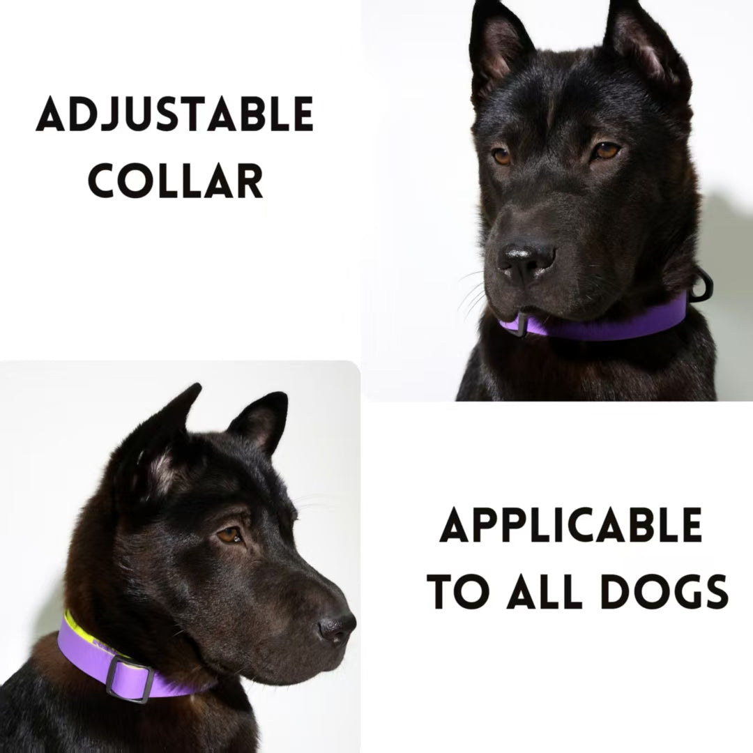 GianfiStore pet leash set – green purple waterproof odor-resistant material
