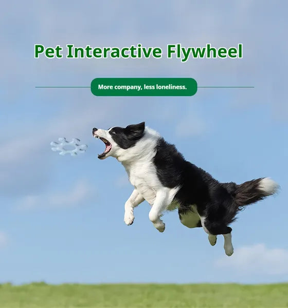 Interactive Dog Flywheel Toy — High-Visibility Floating Frisbee | Gentle on Teeth & Gums