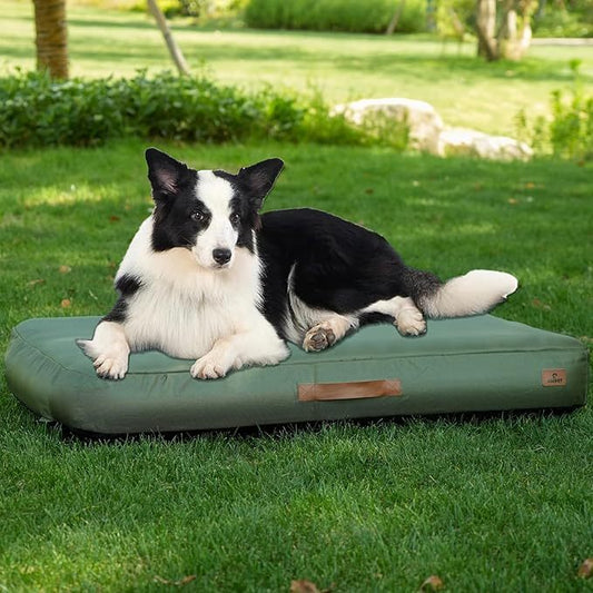 Inflatable Waterproof Dog Bed - Outdoor Travel Mat | Foam & Air Comfort