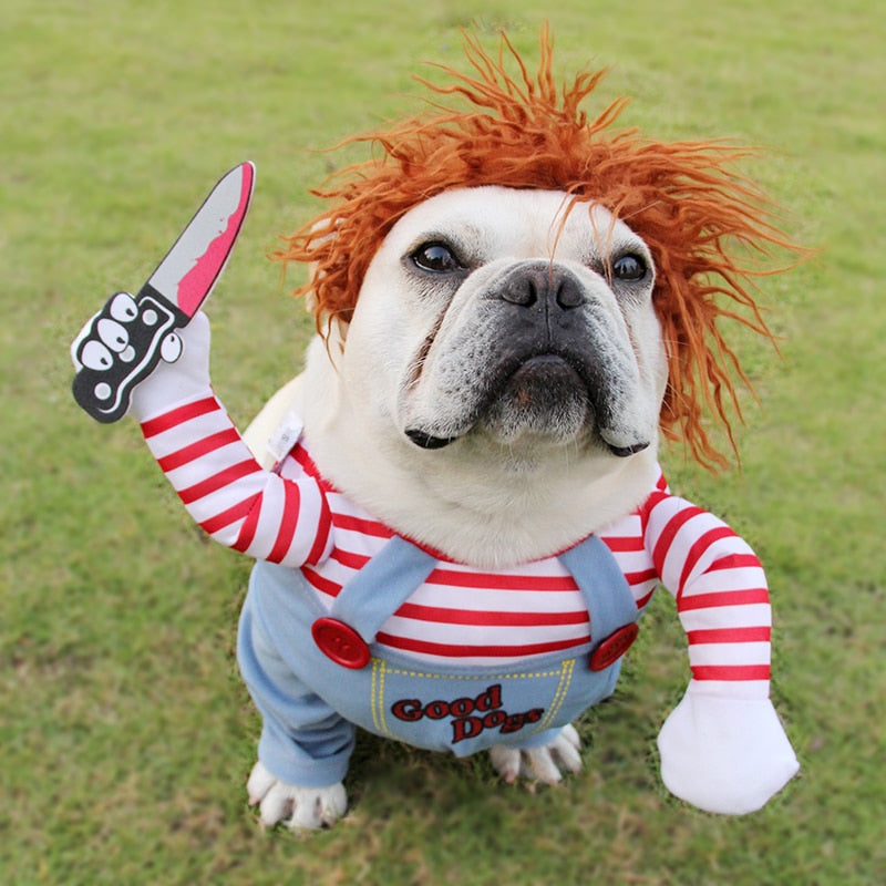Chucky Dog Halloween Costume – Funny Adjustable Pet Cosplay with Wig & Knife Prop