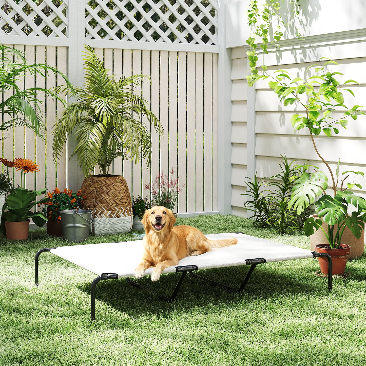 Elevated Dog Bed for Large Breeds - Breathable Mesh Raised Cot | Outdoor & Indoor