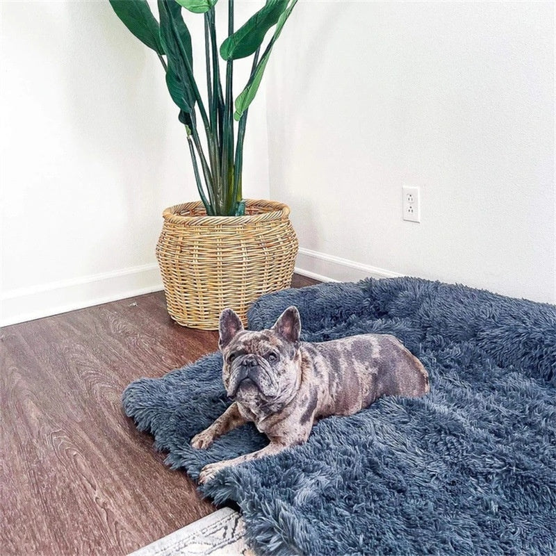 GianfiStore™ Fluffy Dog Sofa Bed – Plush Calming Mat with Raised Borders for Floor & Furniture | Machine Washable