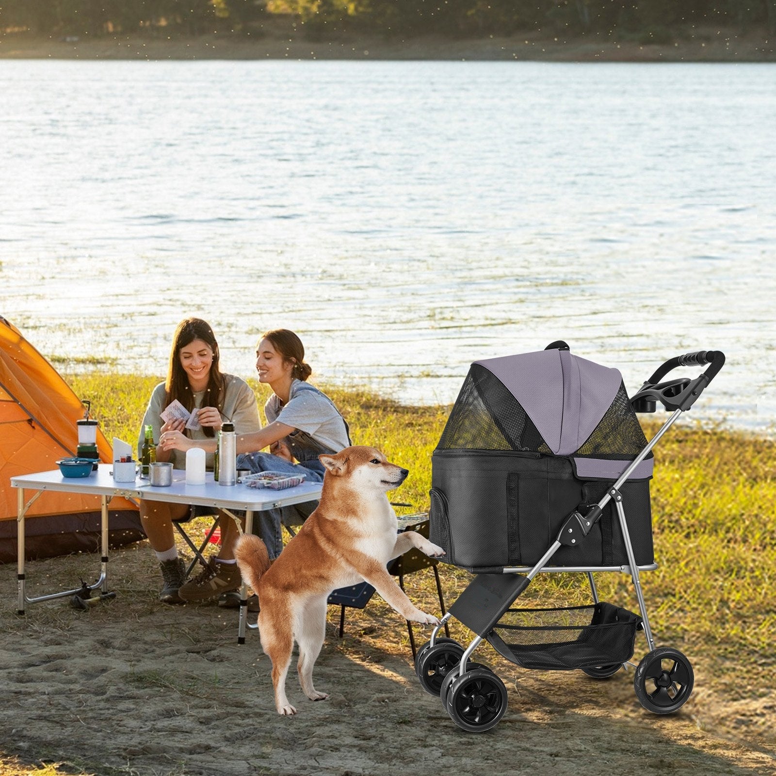 Foldable 4-wheel pet stroller used outdoors at camping with Shiba Inu dog