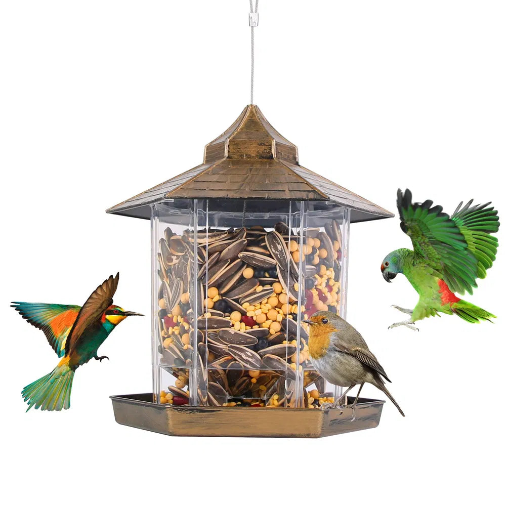 Brown hanging gazebo bird feeder with birds on white background