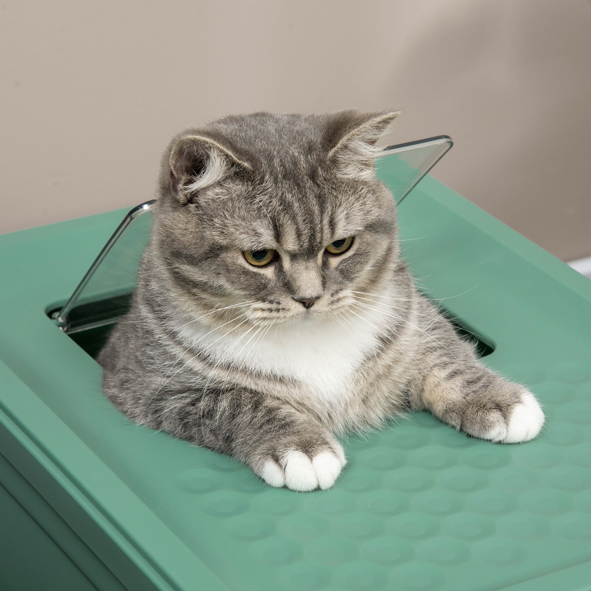 Green cat litter box bottom entry top exit design – reduces litter tracking and frees cat's nature