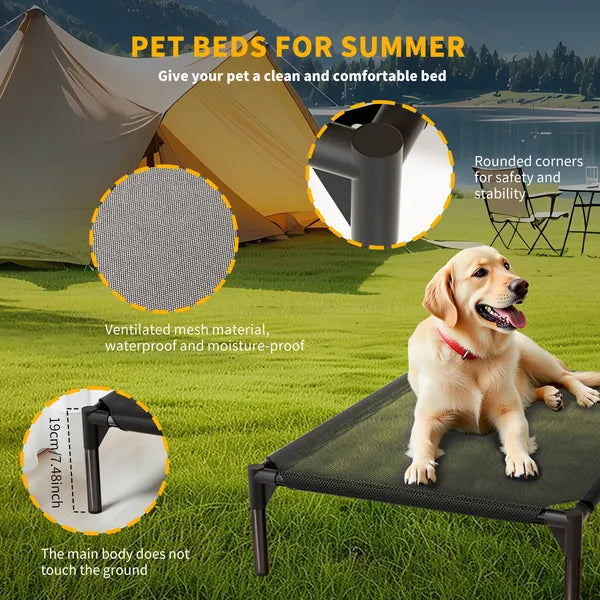 Elevated mesh dog bed outdoor use – golden retriever on pet cot in garden