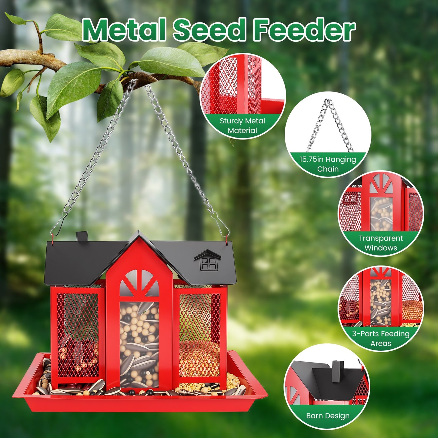 Metal seed feeder compartments infographic showing 3 seed sections for different bird species