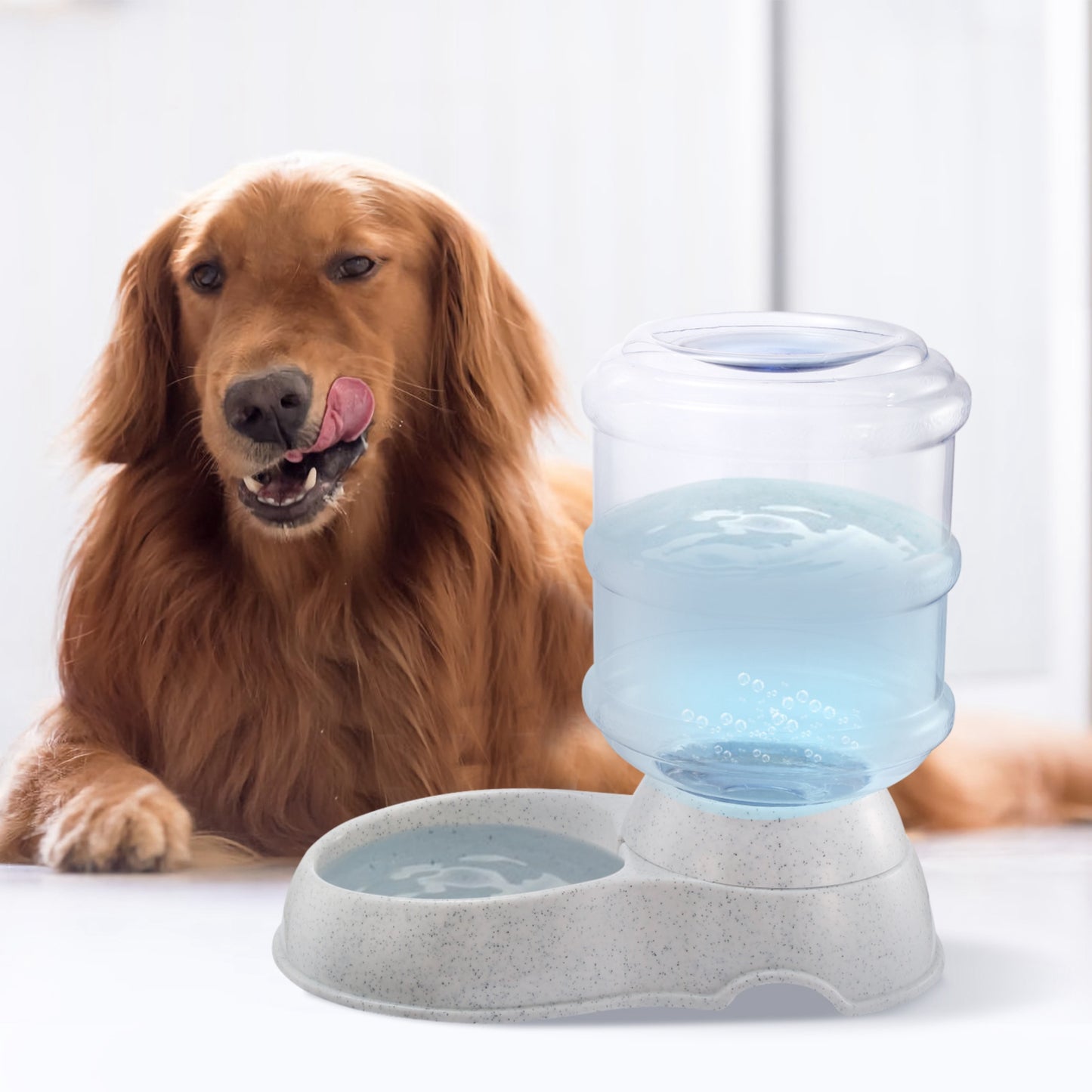 Gravity Self-Dispensing Pet Water Station — 1 Gallon BPA-Free Auto Refill Dispenser