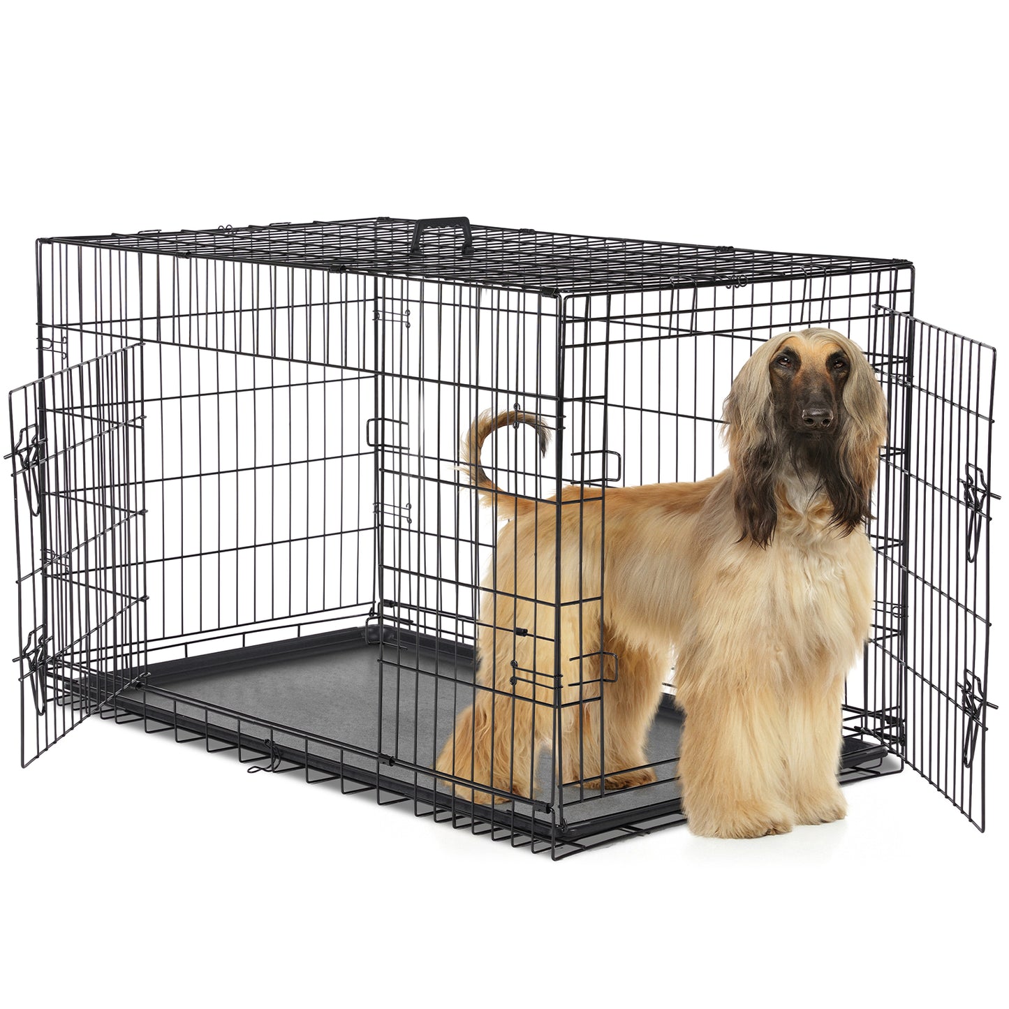 Double-Door Metal Dog Crate with Divider - Foldable & Portable Pet Kennel | Grows with Your Pup