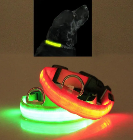 LED Pet Safety Halo Collar - USB Rechargeable High-Visibility Light-Up Loop