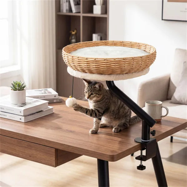 Desktop cat bed with removable plush cushion - all-season comfort for cats