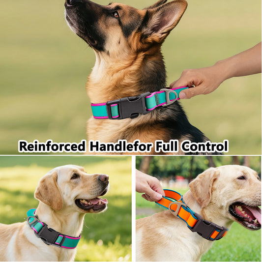 Colorful Tactical Dog Harness with Handle | No-Pull Training Harness for Medium & Large Dogs