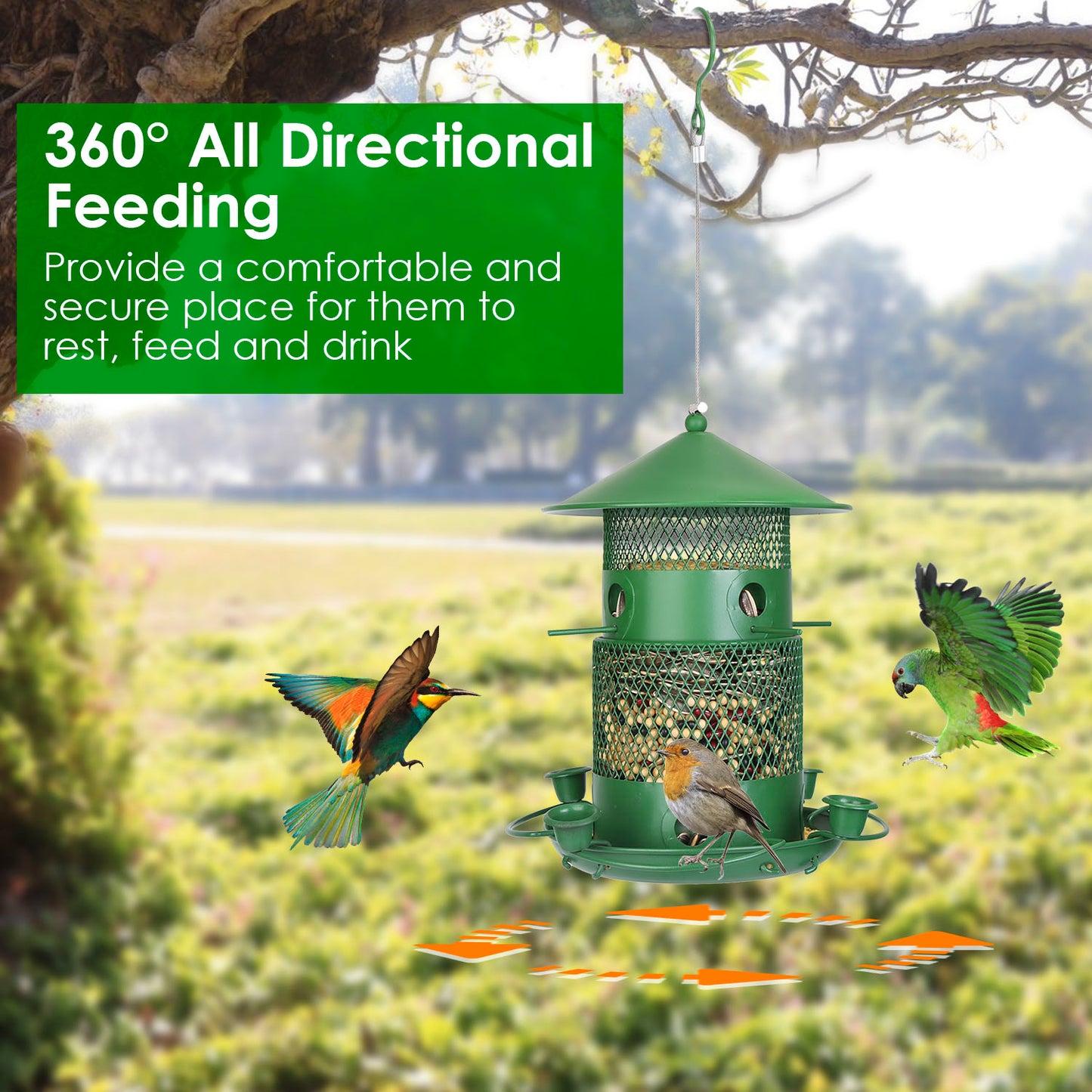 3-Tier Deluxe Wild Bird Station — Squirrel-Proof Rustproof Metal | 6 Perches & 4 Water Cups