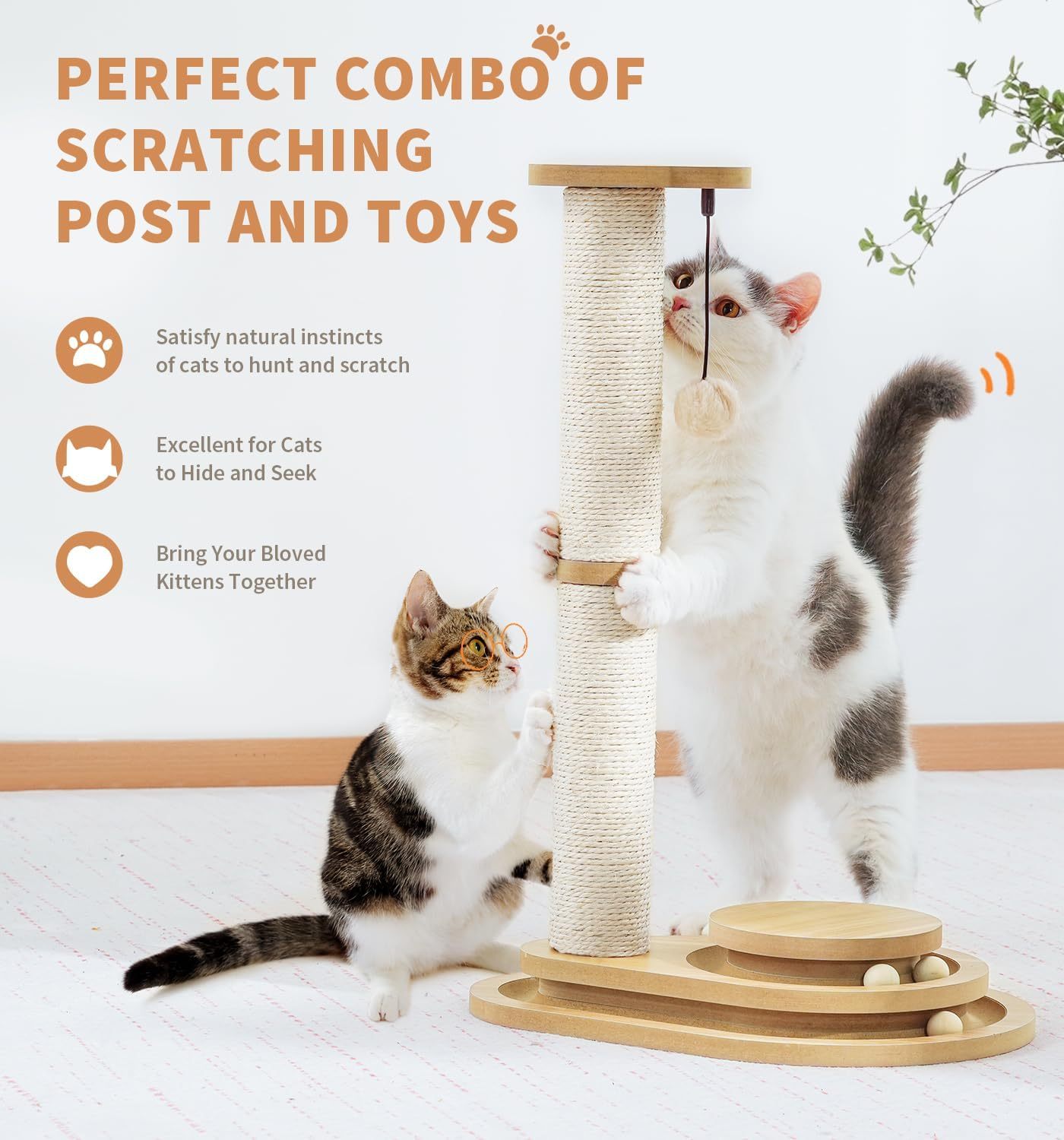 Hanging ball on top of sisal cat scratcher – kitten batting and swatting play