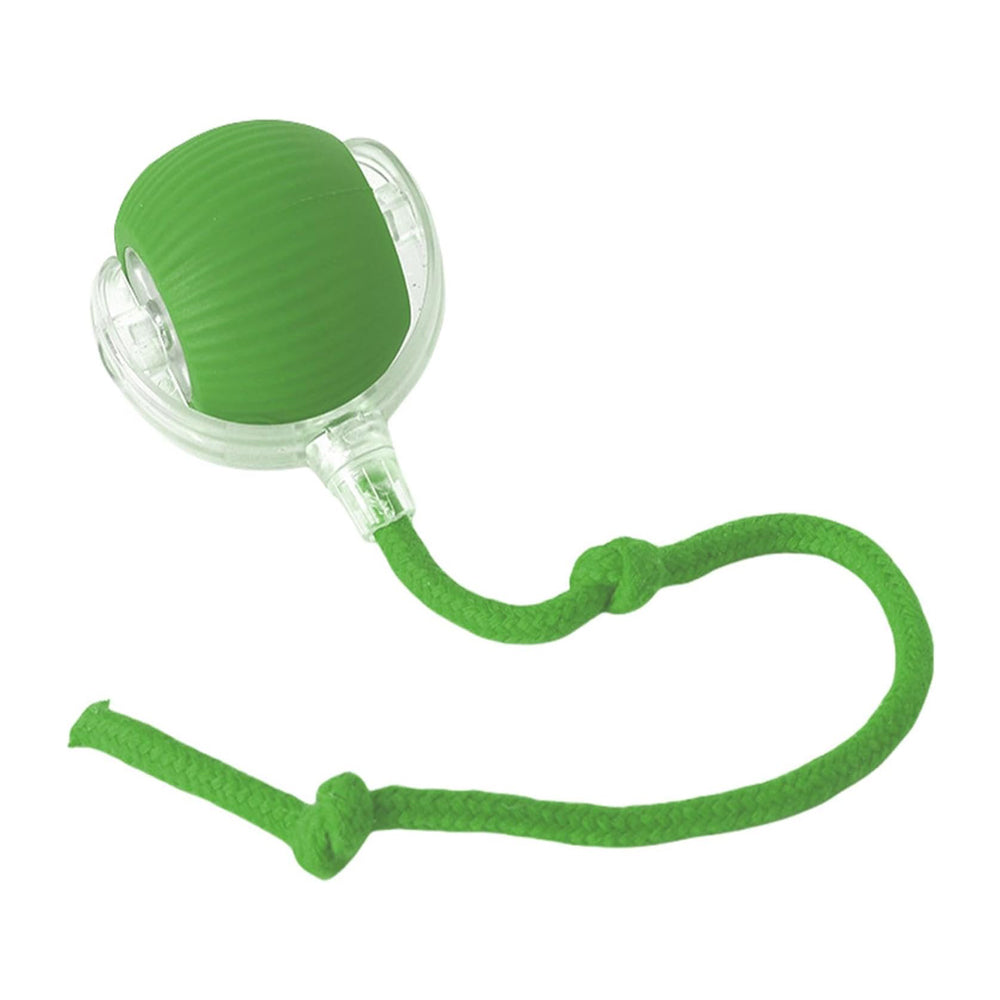 Interactive Rolling Cat Ball Toy | Motion-Activated Self-Rotating Ball with LED Lights for Cats