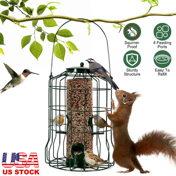 Squirrel-proof hanging bird feeder with 4 feeding ports and sturdy wire cage, birds and squirrel around feeder, USA stock