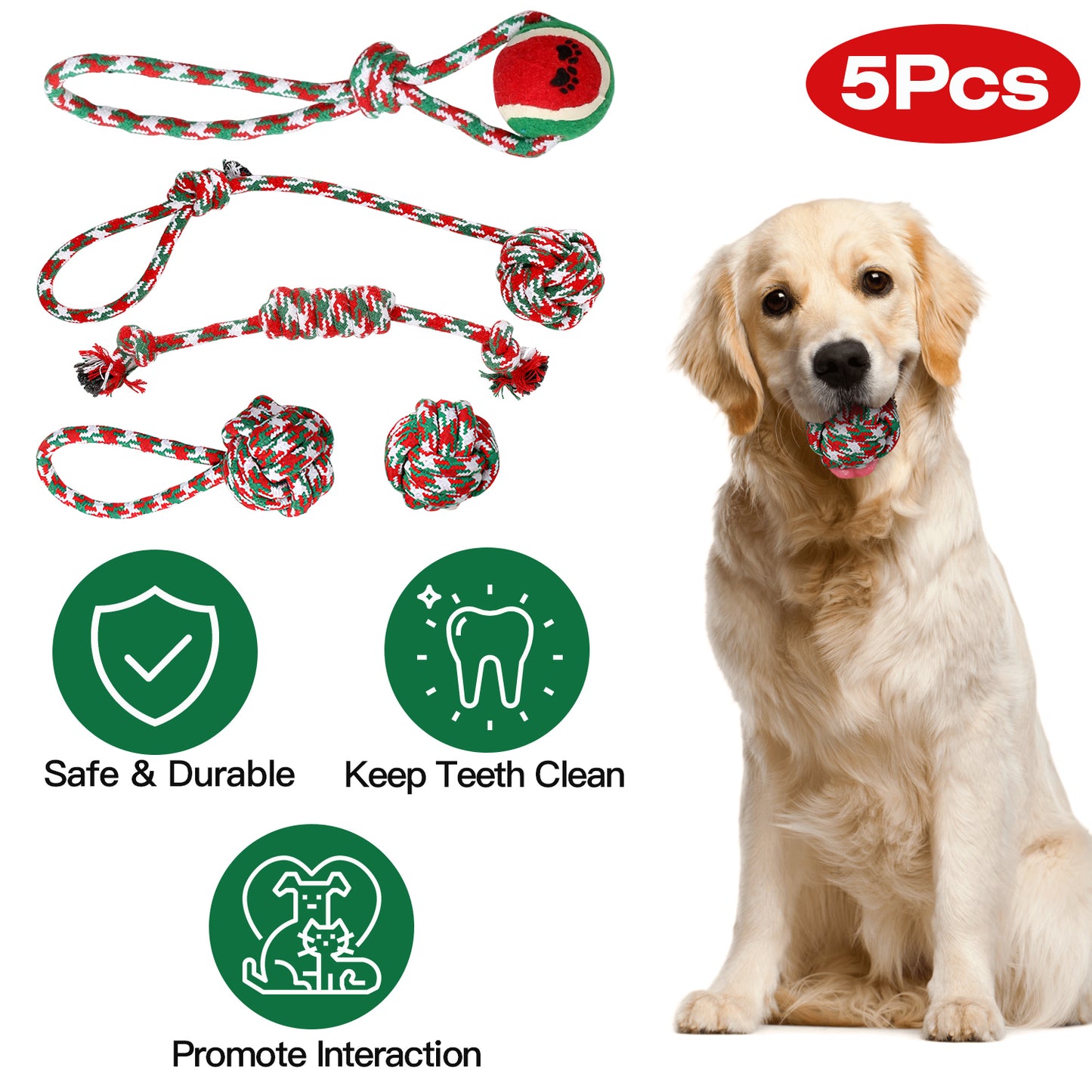 5-Piece Braided Cotton Rope Toy Set — Dental Chews & Tug-of-War Bundle for Dogs