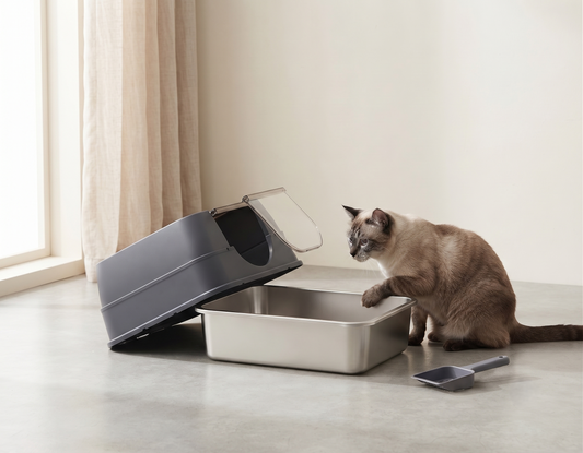 Siamese cat sitting next to open stainless steel cat litter box