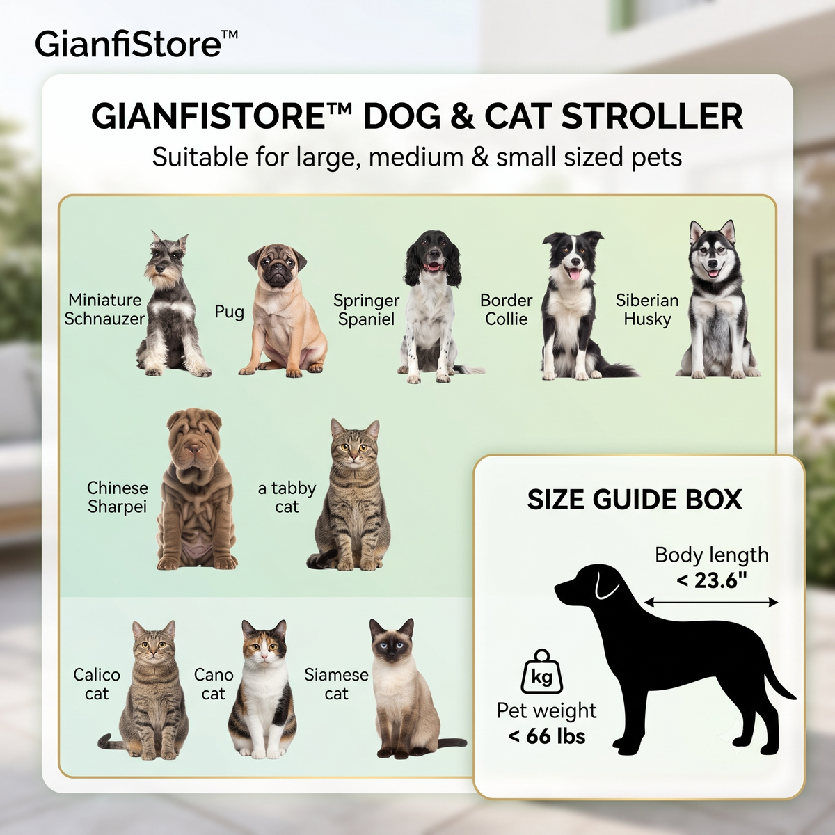 Dog Stroller for Large & Medium Dogs – Heavy-Duty Foldable Pet Stroller up to 66 lbs